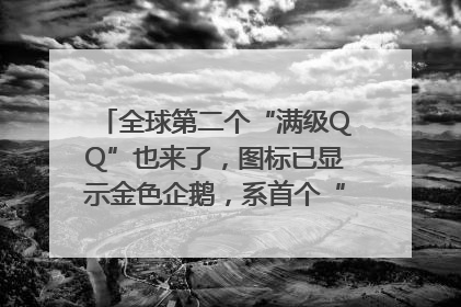 全球第二个“满级QQ”也来了，图标已显示金色企鹅，系首个“满级QQ”的小号