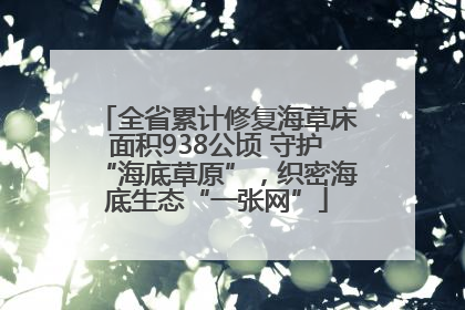 全省累计修复海草床面积938公顷 守护“海底草原”，织密海底生态“一张网”