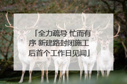 全力疏导 忙而有序 新建路封闭施工后首个工作日见闻