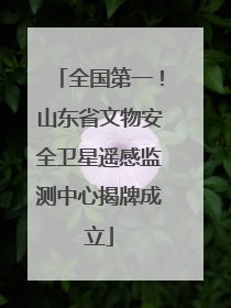 全国第一！山东省文物安全卫星遥感监测中心揭牌成立