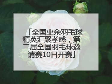 全国业余羽毛球精英汇聚孝感，第二届全国羽毛球邀请赛10日开赛