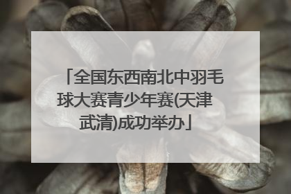 全国东西南北中羽毛球大赛青少年赛(天津武清)成功举办