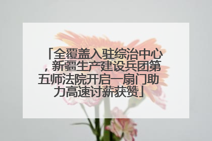 全覆盖入驻综治中心，新疆生产建设兵团第五师法院开启一扇门助力高速讨薪获赞