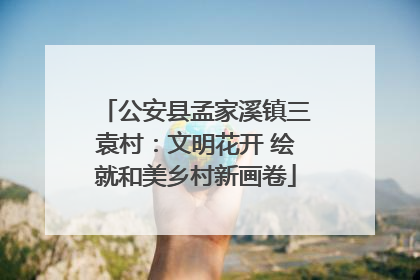 公安县孟家溪镇三袁村：文明花开 绘就和美乡村新画卷
