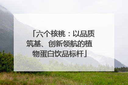六个核桃：以品质筑基、创新领航的植物蛋白饮品标杆