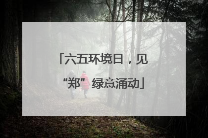 六五环境日，见“郑”绿意涌动