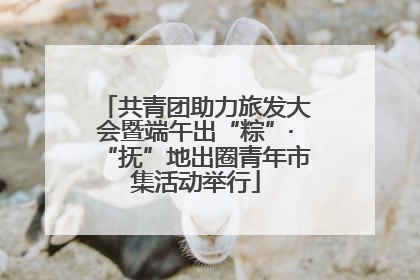 共青团助力旅发大会暨端午出“粽”·“抚”地出圈青年市集活动举行