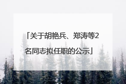 关于胡艳兵、郑涛等2名同志拟任职的公示