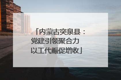 内蒙古突泉县：党建引领聚合力 以工代赈促增收