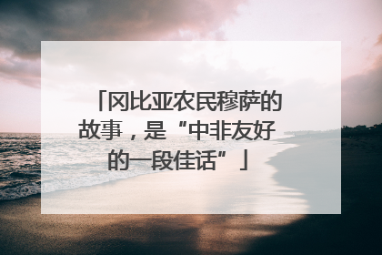 冈比亚农民穆萨的故事，是“中非友好的一段佳话”