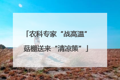农科专家“战高温” 菇棚送来“清凉策”