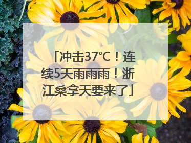冲击37℃！连续5天雨雨雨！浙江桑拿天要来了