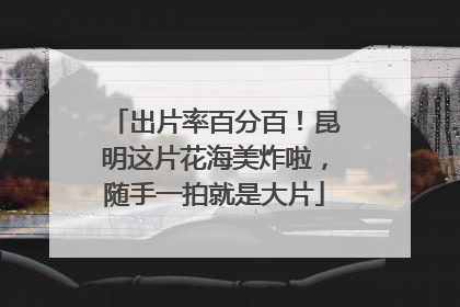 出片率百分百！昆明这片花海美炸啦，随手一拍就是大片