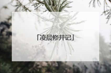 凌晨修井记