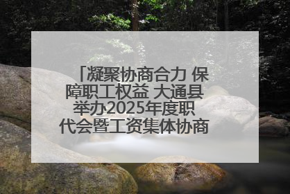 凝聚协商合力 保障职工权益 大通县举办2025年度职代会暨工资集体协商现场观摩交流活动