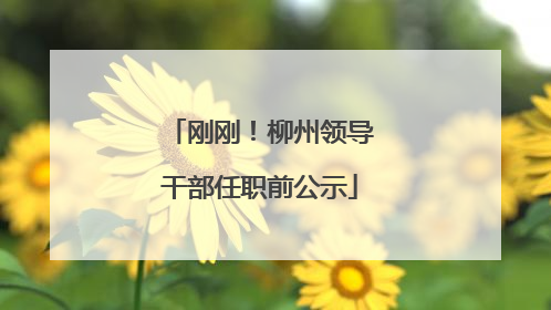 刚刚！柳州领导干部任职前公示