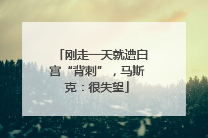 刚走一天就遭白宫“背刺”，马斯克：很失望