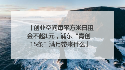 创业空间每平方米日租金不超1元，浦东“青创15条”满月带来什么