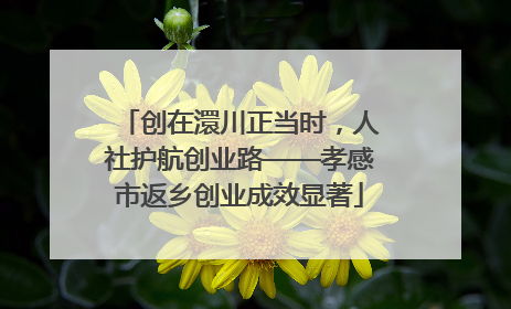 创在澴川正当时，人社护航创业路——孝感市返乡创业成效显著