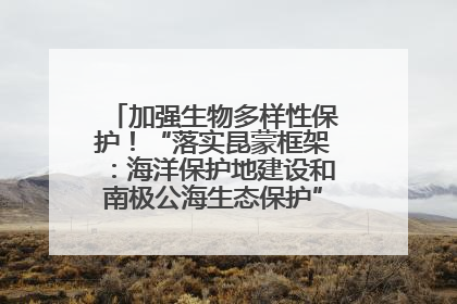 加强生物多样性保护！“落实昆蒙框架：海洋保护地建设和南极公海生态保护”主题论坛将举办