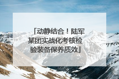 动静结合！陆军某团实战化考核检验装备保养质效