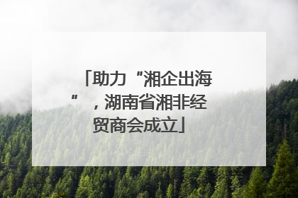 助力“湘企出海”，湖南省湘非经贸商会成立