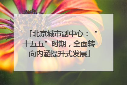 北京城市副中心：“十五五”时期，全面转向内涵提升式发展