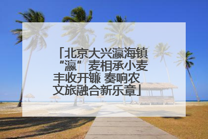 北京大兴瀛海镇“瀛”麦相承小麦丰收开镰 奏响农文旅融合新乐章