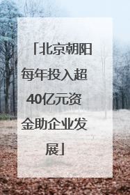 北京朝阳每年投入超40亿元资金助企业发展
