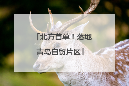 北方首单！落地青岛自贸片区