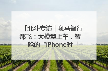 北斗专访｜斑马智行郝飞：大模型上车，智舱的“iPhone时刻”何时到来