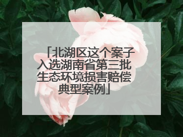 北湖区这个案子入选湖南省第三批生态环境损害赔偿典型案例