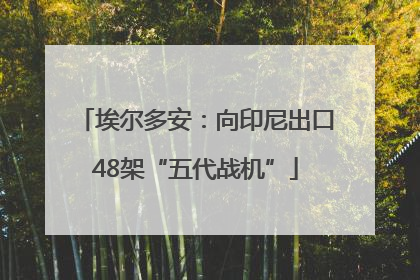 埃尔多安：向印尼出口48架“五代战机”