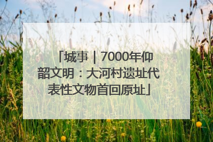 城事｜7000年仰韶文明：大河村遗址代表性文物首回原址