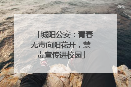 城阳公安：青春无毒向阳花开，禁毒宣传进校园