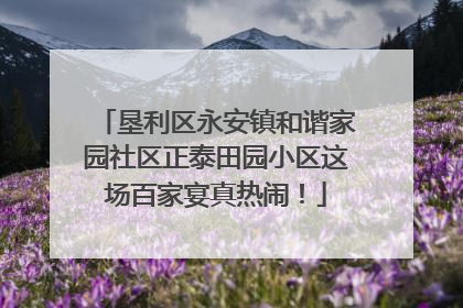 垦利区永安镇和谐家园社区正泰田园小区这场百家宴真热闹！