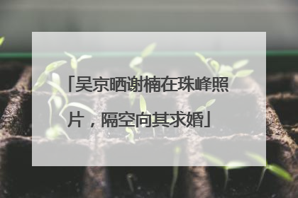吴京晒谢楠在珠峰照片，隔空向其求婚