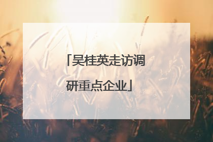 吴桂英走访调研重点企业