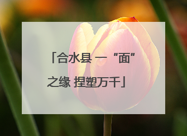 合水县 一“面”之缘 捏塑万千