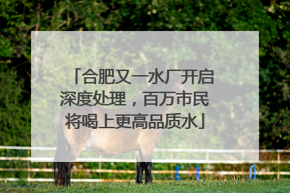 合肥又一水厂开启深度处理，百万市民将喝上更高品质水