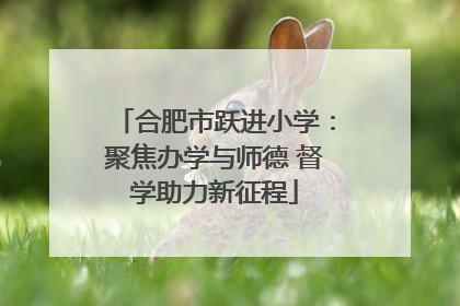 合肥市跃进小学：聚焦办学与师德 督学助力新征程