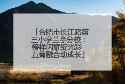 合肥市长江路第三小学兰亭分校：榜样闪耀绽光彩 五育融合助成长