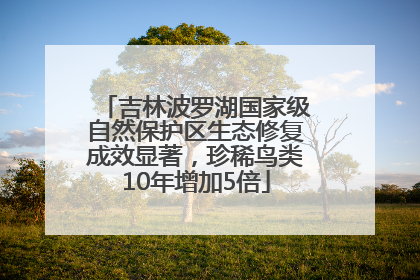 吉林波罗湖国家级自然保护区生态修复成效显著，珍稀鸟类10年增加5倍