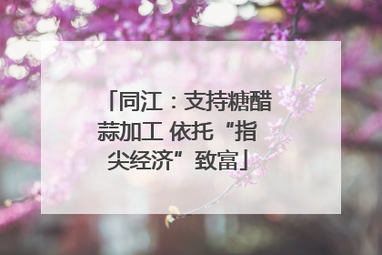 同江：支持糖醋蒜加工 依托“指尖经济”致富