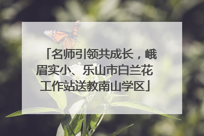 名师引领共成长，峨眉实小、乐山市白兰花工作站送教南山学区