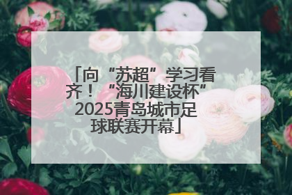 向“苏超”学习看齐！“海川建设杯”2025青岛城市足球联赛开幕