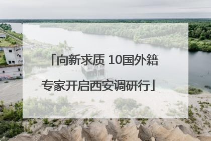 向新求质 10国外籍专家开启西安调研行