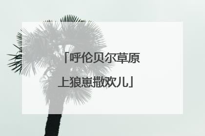 呼伦贝尔草原上狼崽撒欢儿