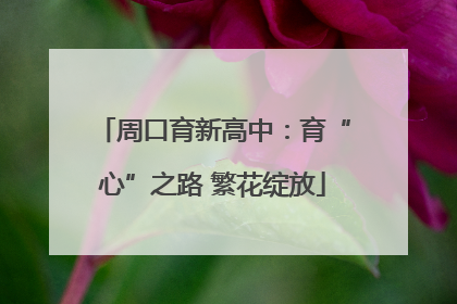 周口育新高中：育“心”之路 繁花绽放