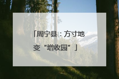 周宁县：方寸地变“增收园”
